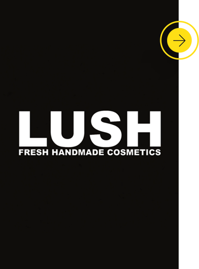 The Chinese Language Infographic